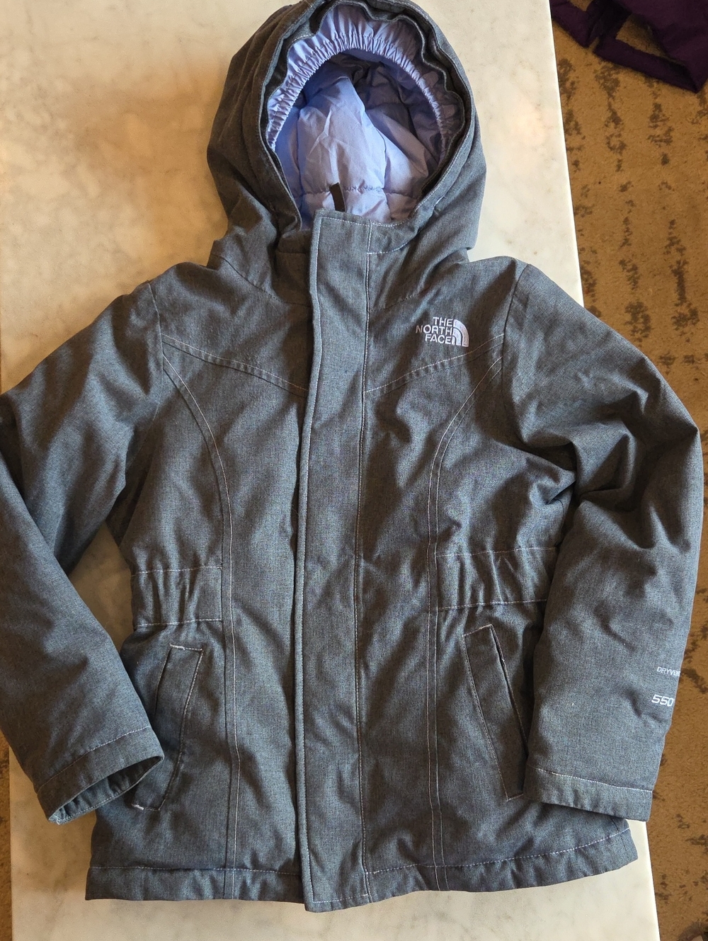 The North Face Greenland Down Insulated Parka